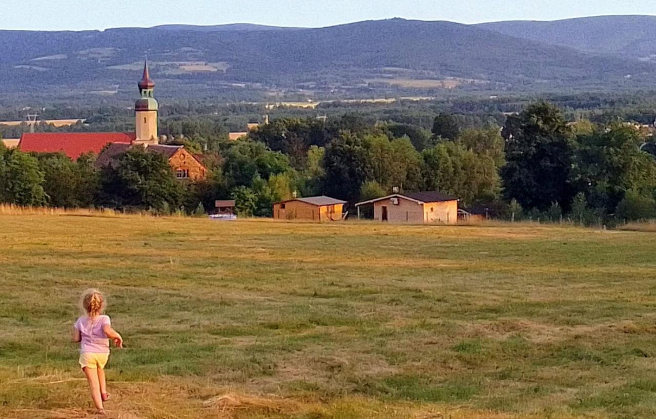 Domek W Gorach Izerskich 4 I 6 Osobowy, Agroturystyka, Zywe Zwierzeta, W Pelni Wyposazone, Plac Zabaw Dla Dzieci, Ognisko Z Kijkami I Rusztem, Ogrzewanie I Klimatyzacja, Latem Basen Mirsk エクステリア 写真