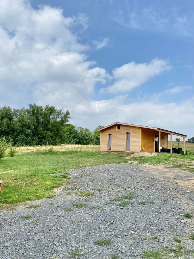 Domek W Gorach Izerskich 4 I 6 Osobowy, Agroturystyka, Zywe Zwierzeta, W Pelni Wyposazone, Plac Zabaw Dla Dzieci, Ognisko Z Kijkami I Rusztem, Ogrzewanie I Klimatyzacja, Latem Basen Mirsk エクステリア 写真