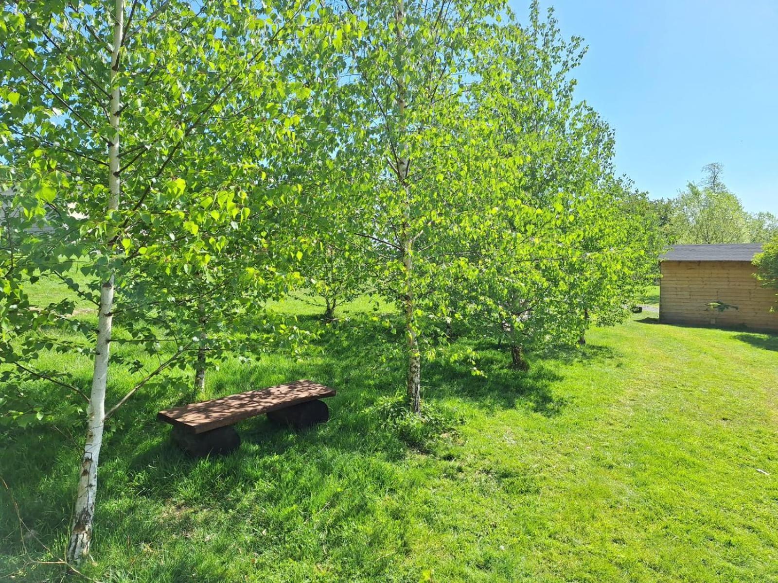 Domek W Gorach Izerskich 4 I 6 Osobowy, Agroturystyka, Zywe Zwierzeta, W Pelni Wyposazone, Plac Zabaw Dla Dzieci, Ognisko Z Kijkami I Rusztem, Ogrzewanie I Klimatyzacja, Latem Basen Mirsk エクステリア 写真